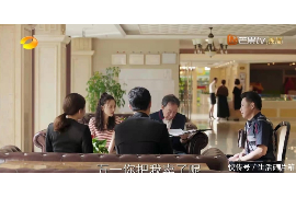 鹤岗贷款清欠服务