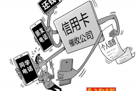 鹤岗债务清欠服务